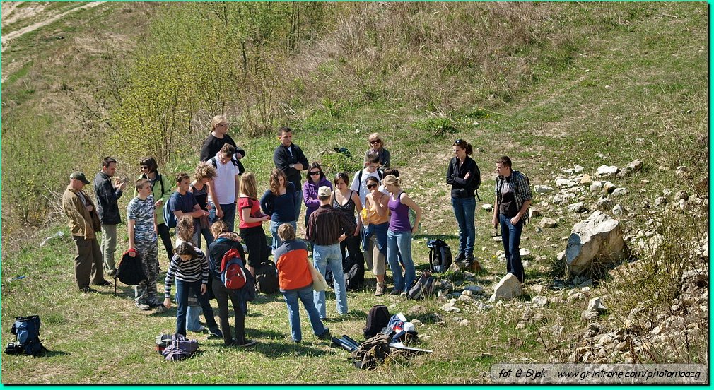 nasilow17.jpg